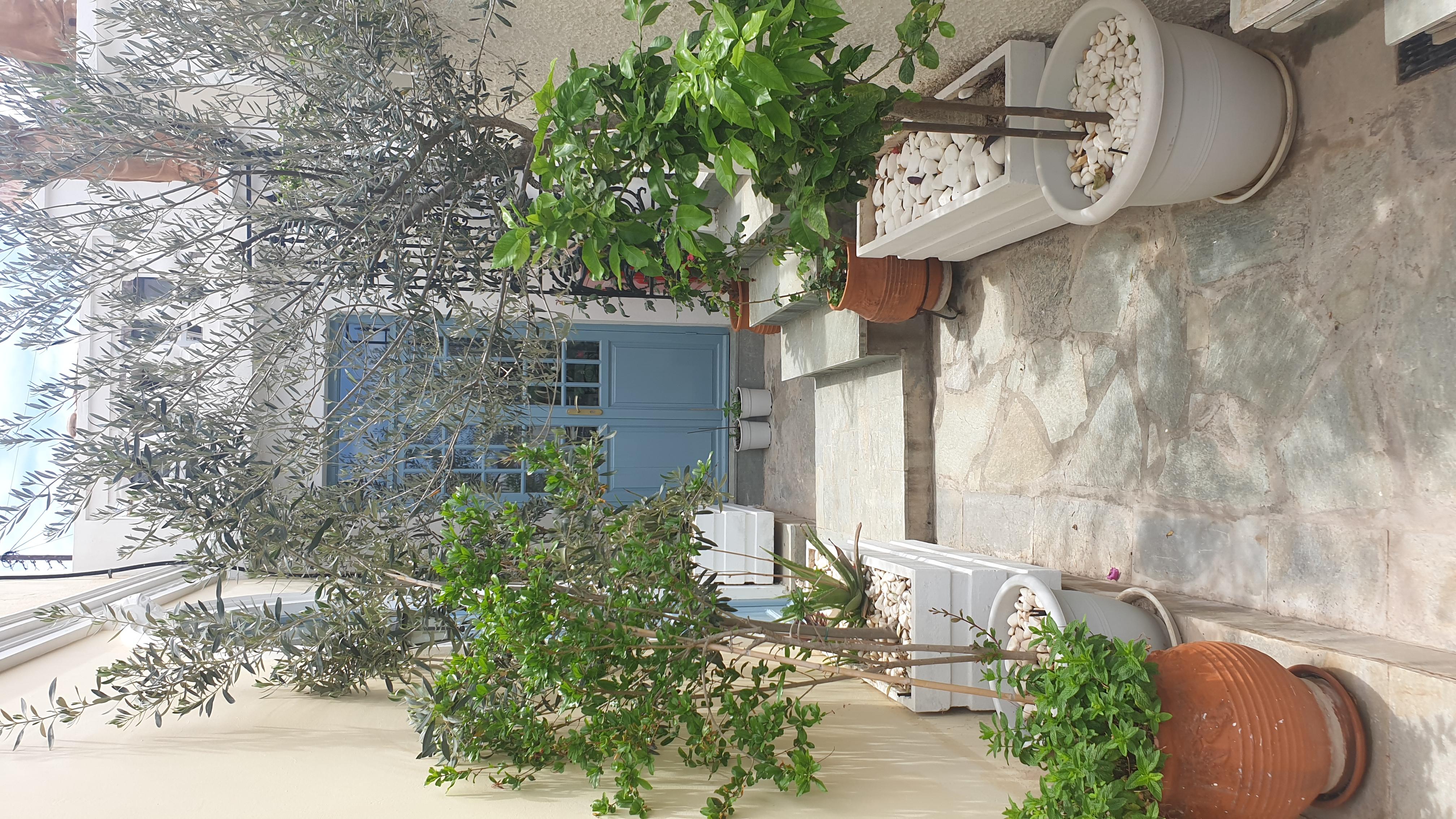 Poros Town Dionysos Hotel מראה חיצוני תמונה