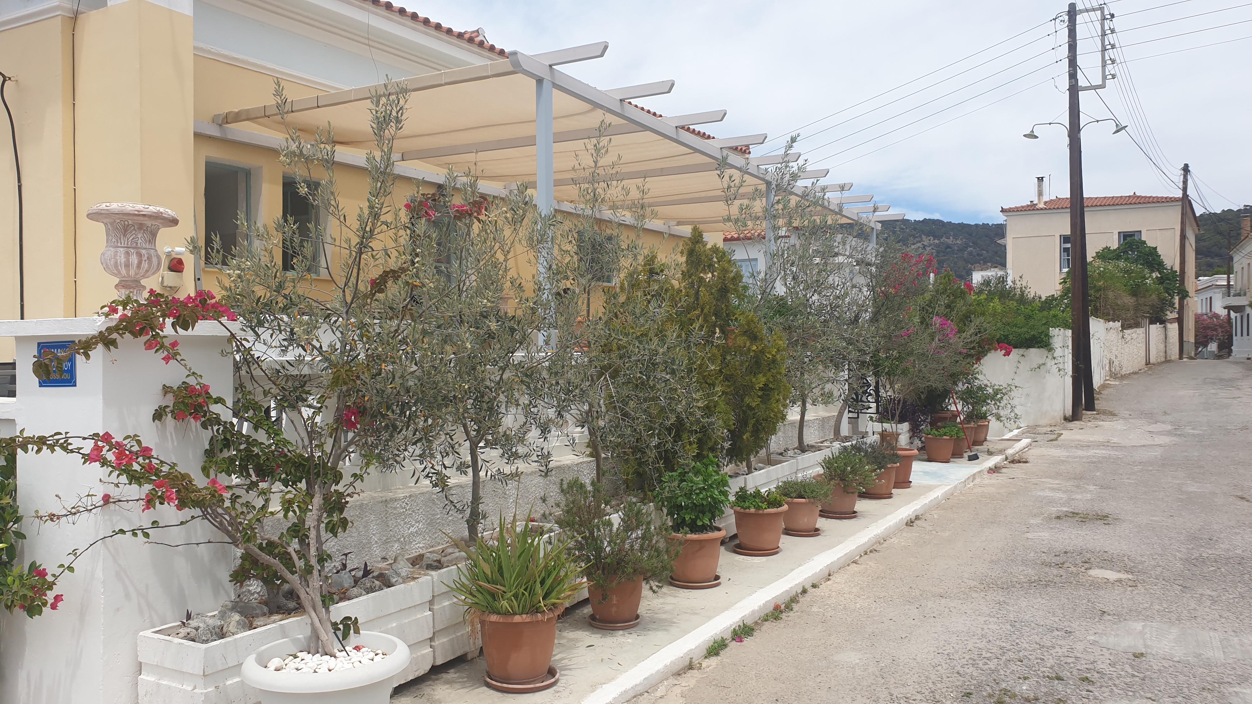 Poros Town Dionysos Hotel מראה חיצוני תמונה